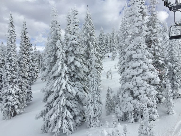 Steamboat Springs, CO.