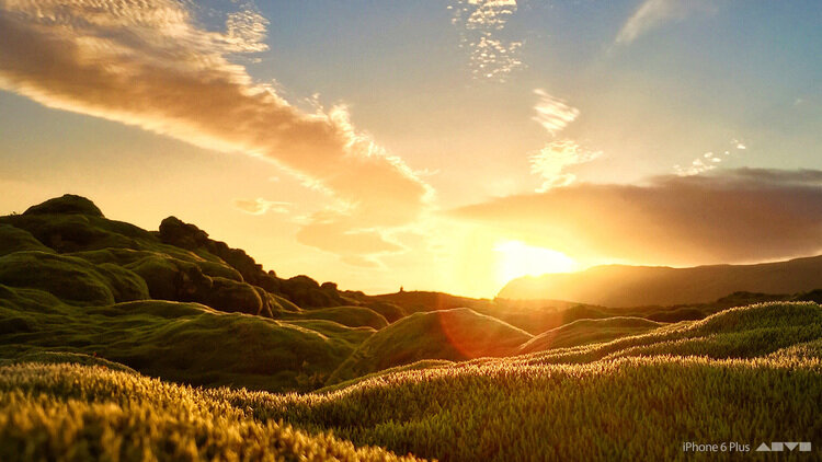 iPhone 6 Plus: Photos, Snapseed