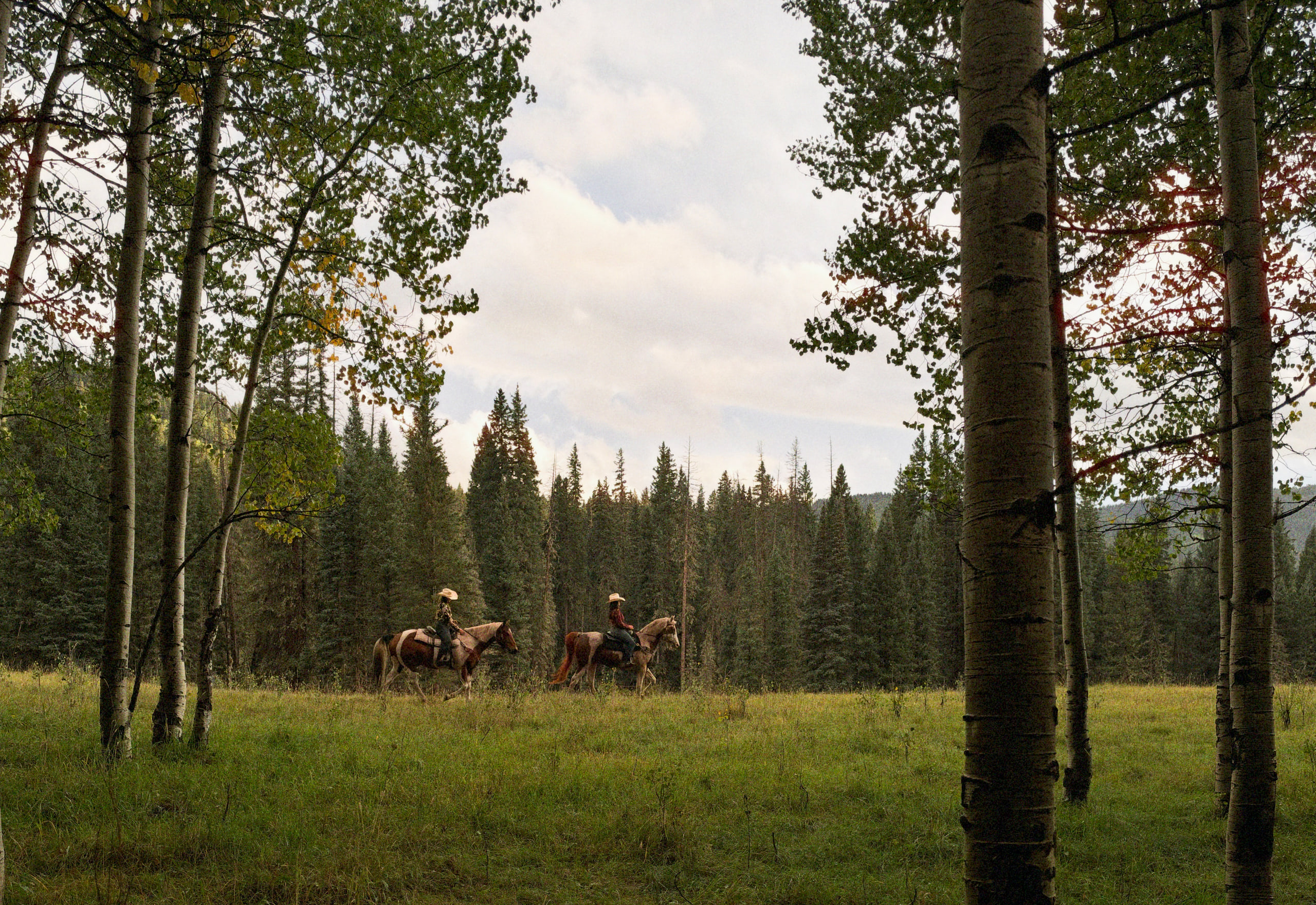 Two riders on horseback crossing a meadow framed by aspens at Dunton, Colorado